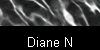  Diane N 